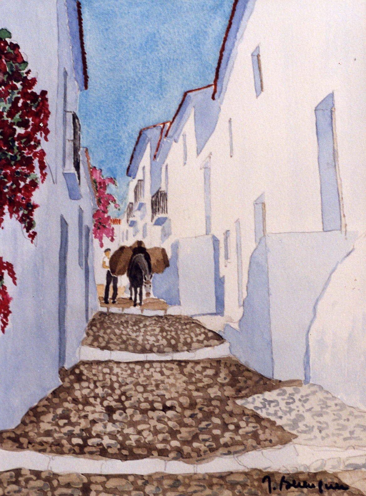 T127-Ruelle-andalouse