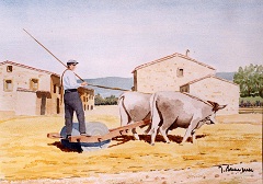 Paysages