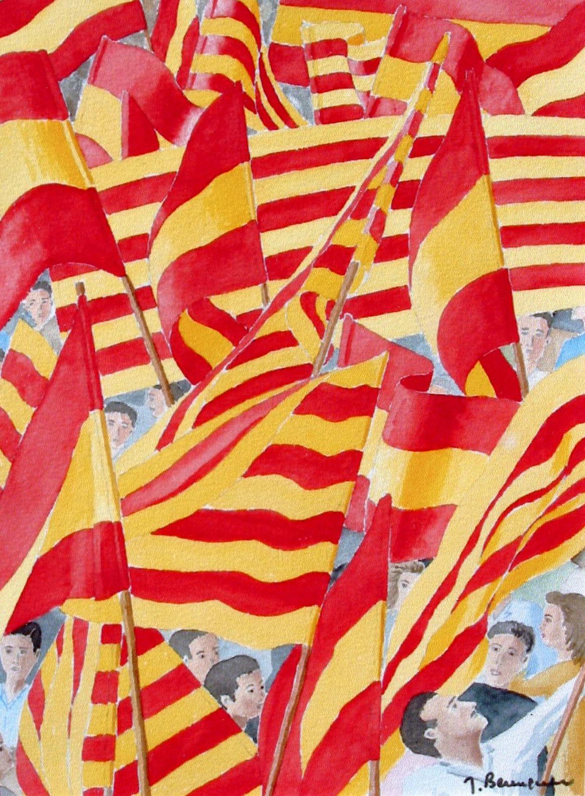 T136-La-Diada-des-anti-independantistes