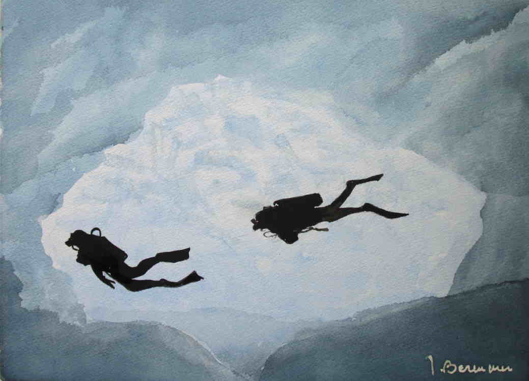 T242-Plongeurs-sous-la-banquise